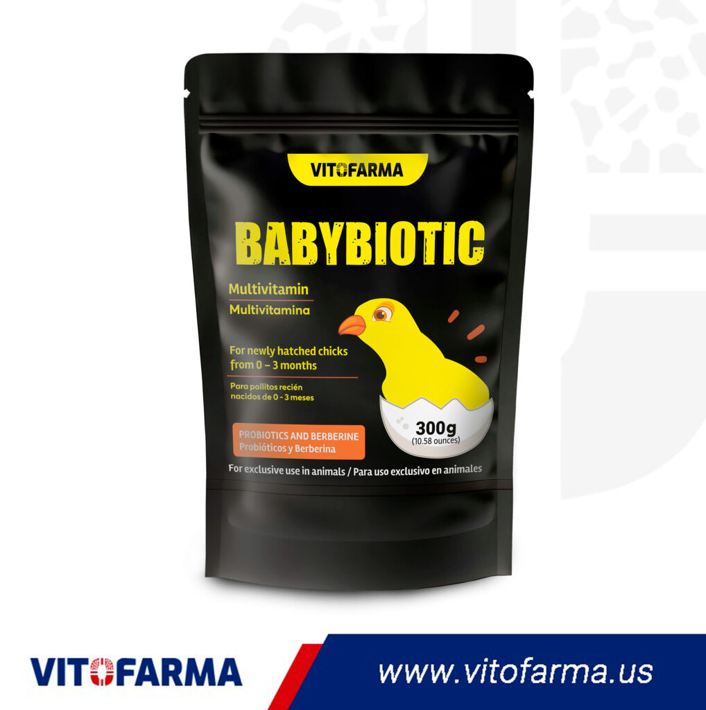 Picture of Multivitamin and Probiotics for Chicks – Babybiotic 300g - Vitofarma