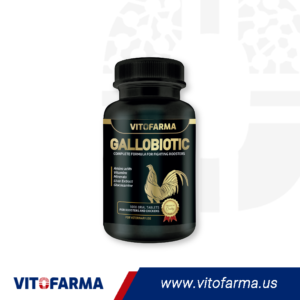 MULTI-VITAMIN FOR ROOSTERS AND HENS – GALLOBIOTIC 500 TABLETS