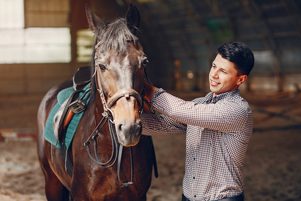 Essential Horse Care Tips Every Owner Should Know