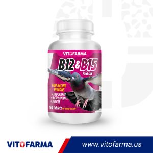 Vitamin B12 B15 for Pigeons B15