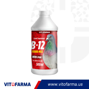 B12 10000 MCG With Iron – Pigeon 500 ML