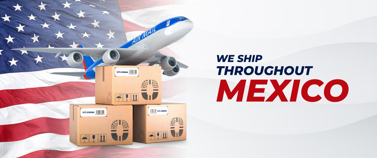 We-Ship-Throughout-Mexico Mexico