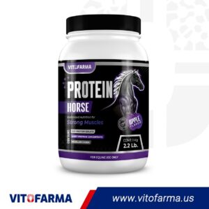 Powdered Supplement for Strong Muscles – Protein Horse