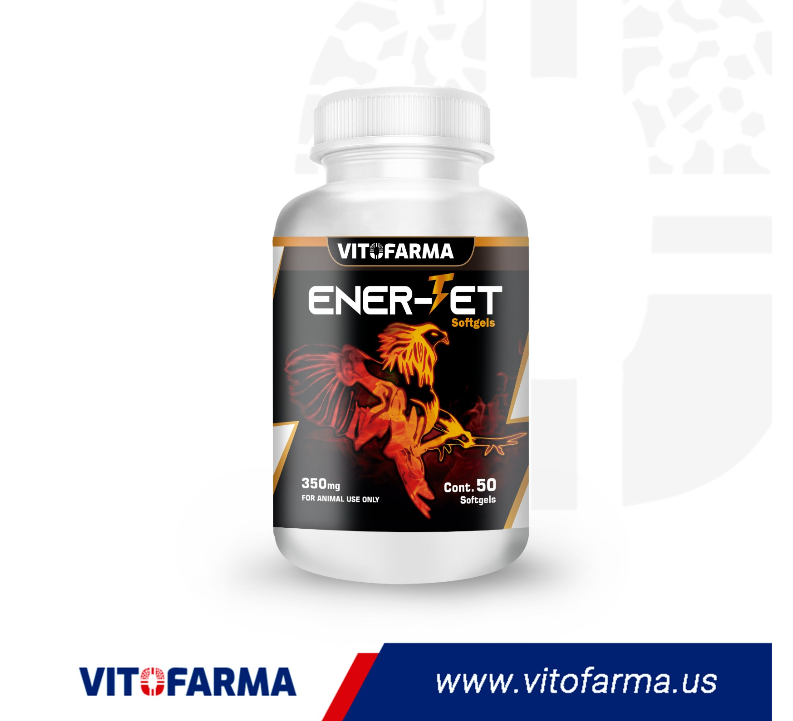 ENER-JET 50 SOFTGELS