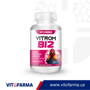 VITROM B12 100 TABLETS