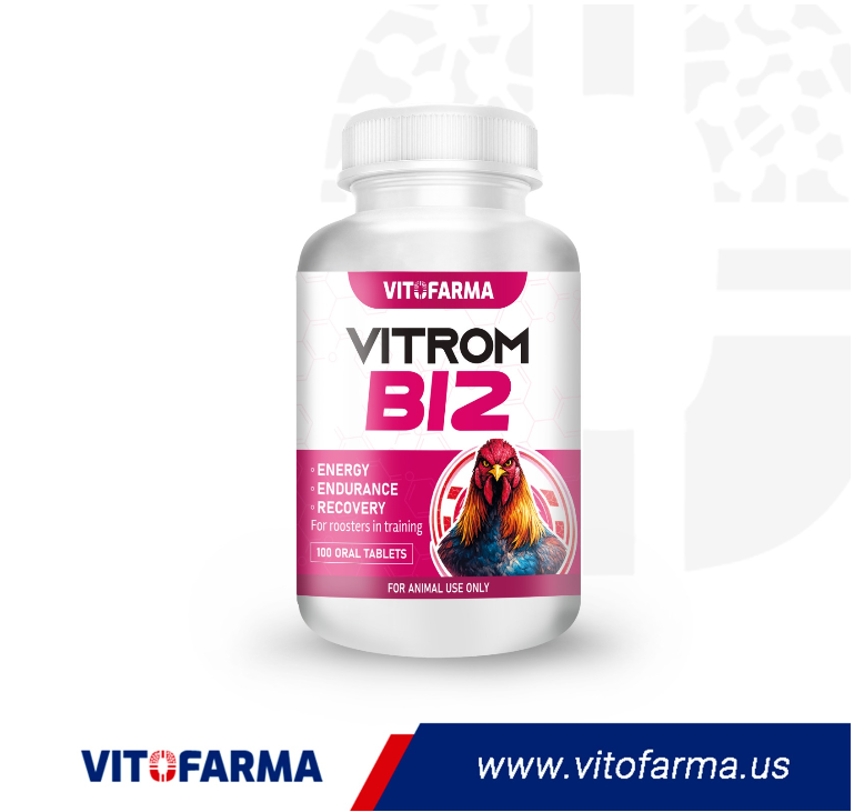 VITROM B12 100 TABLETS