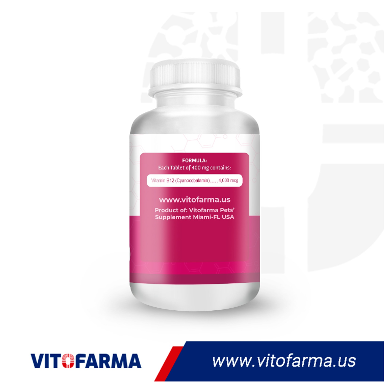 VITROM B12 100 TABLETS