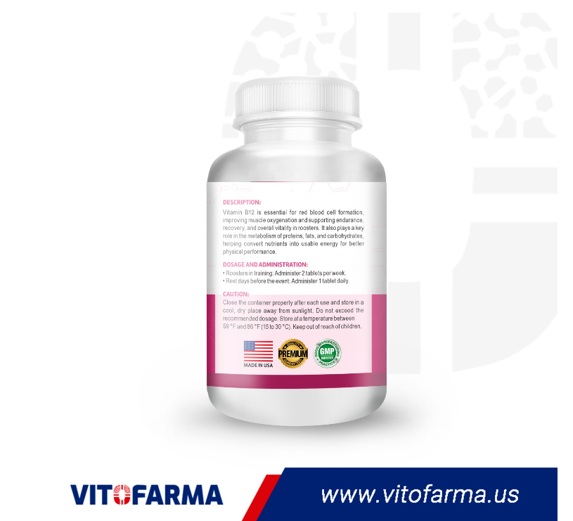 VITROM B12 100 TABLETS