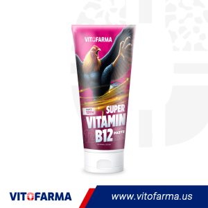 SUPER VITAMIN B12 120G