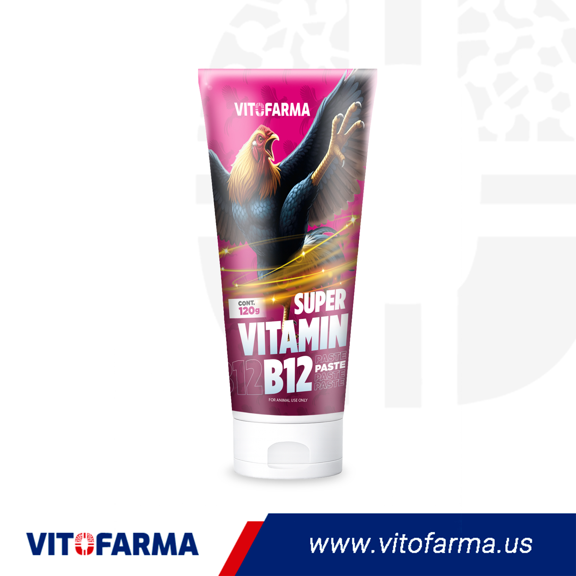 SUPER VITAMIN B12 120G